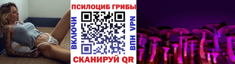 Псилоцибиновые грибы Magic Shrooms  Тула 