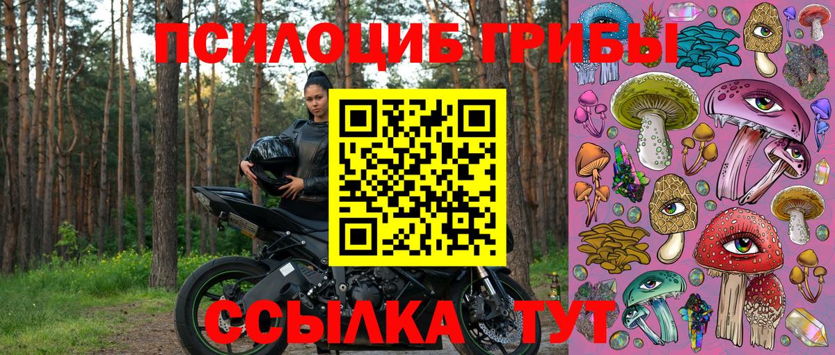 Тула  Галлюциногенные грибы мухоморы  Вход с VPN 